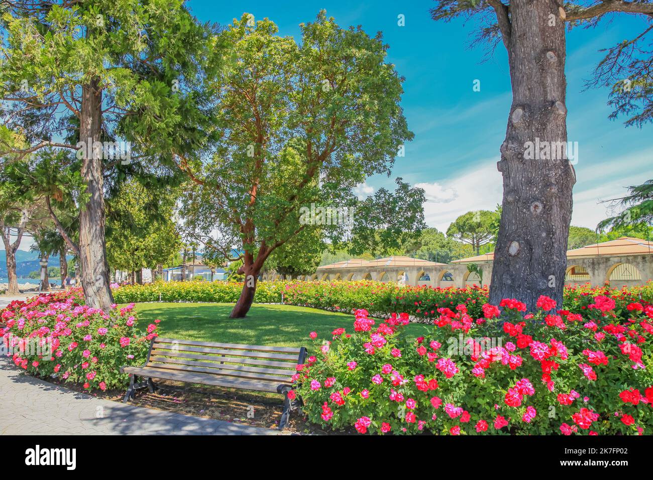The gazebo in rose garden hi-res stock photography and images - Alamy