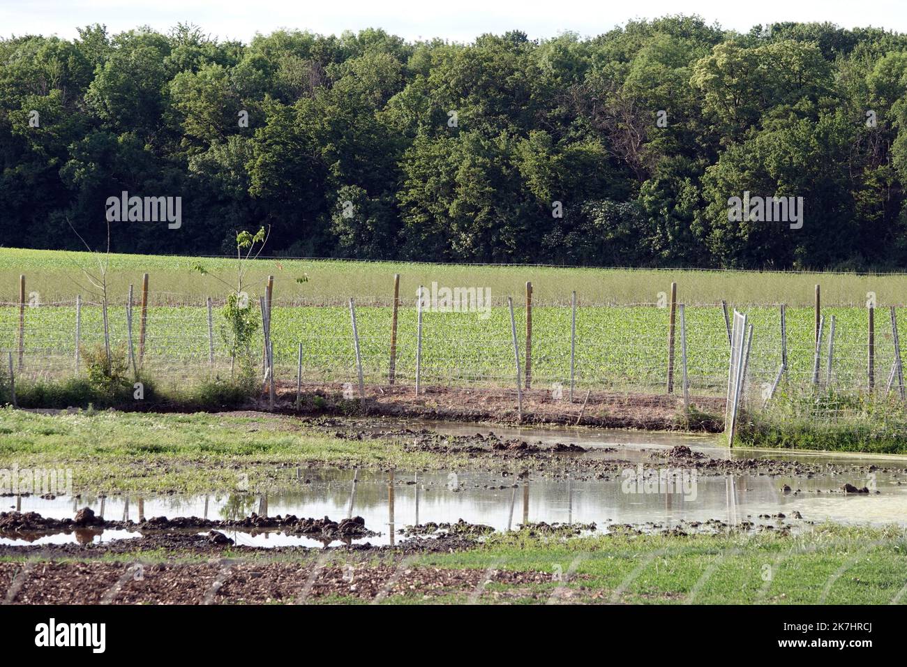 élevage agricole hi-res stock photography and images - Alamy