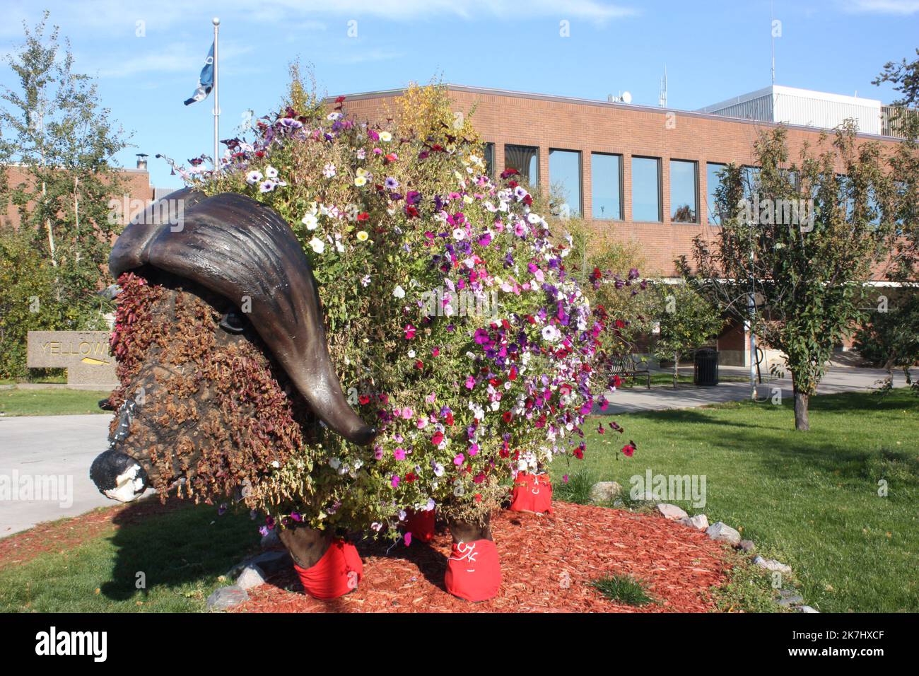 Flower design in the shape of a musk ox outside City Hall in Yellowknife, Northwest Territories, Canada Stock Photo