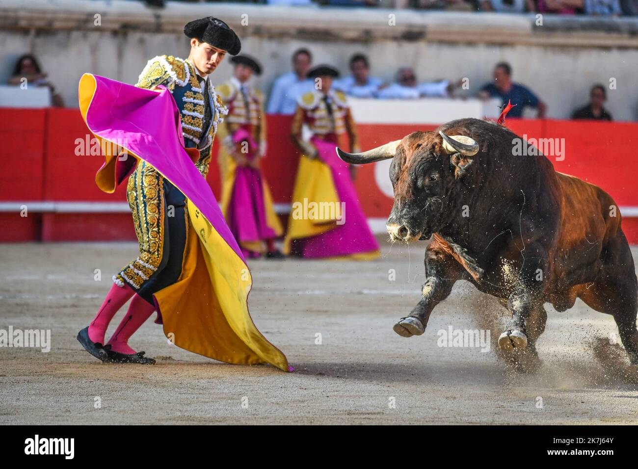 Â©PHOTOPQR/LE MIDI LIBRE/MiKAEL ANISSET ; NIMES LE 03 JUIN 2022 / FERIA