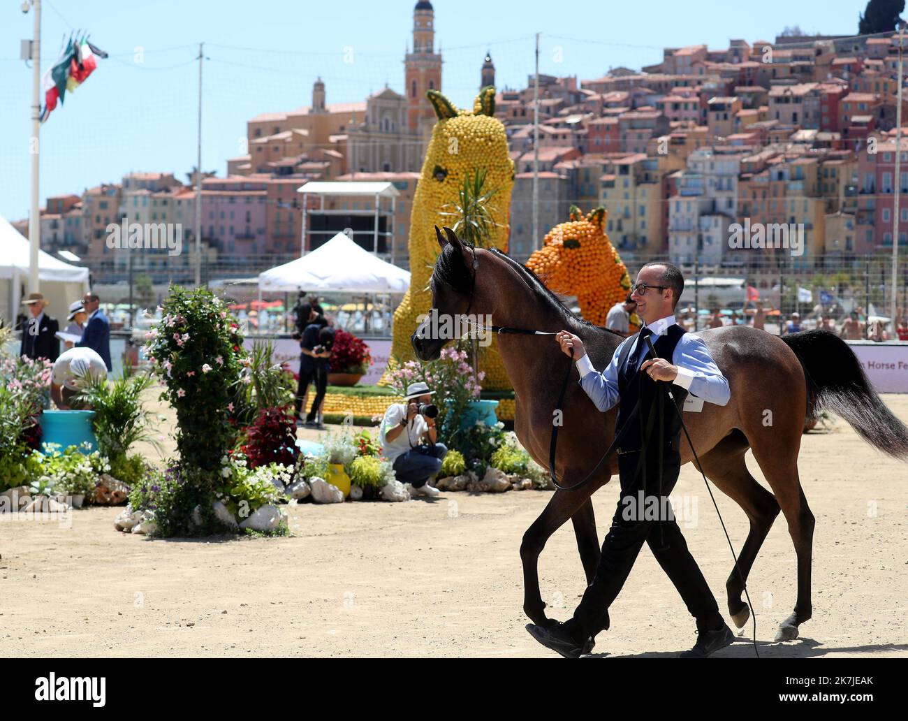 Badge Trophée APCA Menton 2014 – Cheval Arabe Méditerranée – N4333
