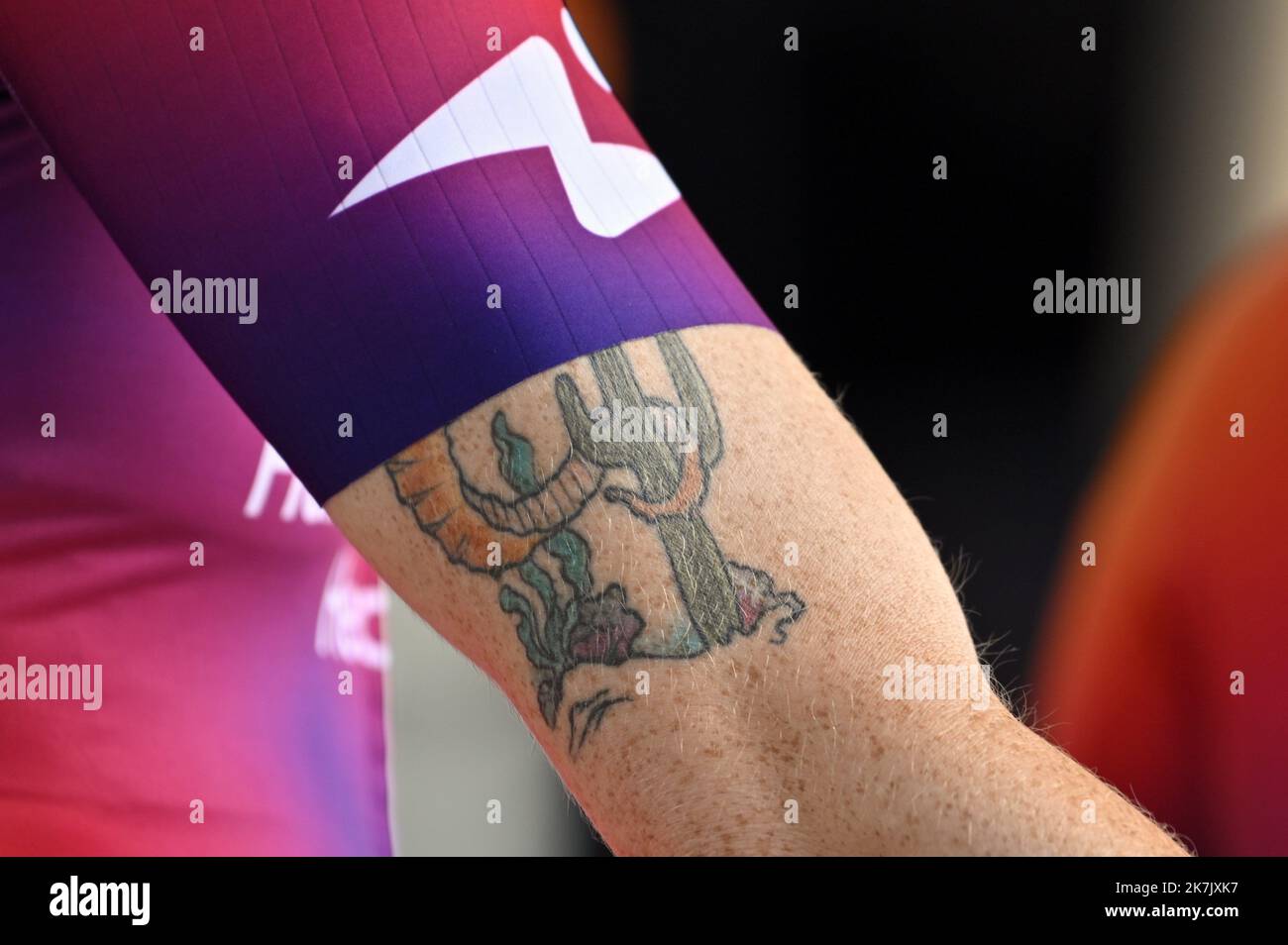 Gregory Van der Wiel  Van, Body art tattoos, Football tattoo
