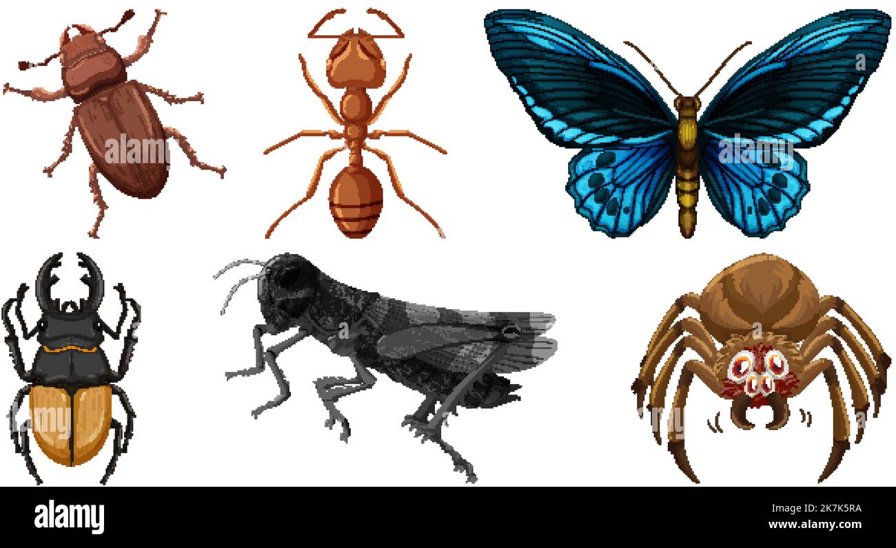 Set of different kinds of insects illustration Stock Vector Image & Art ...
