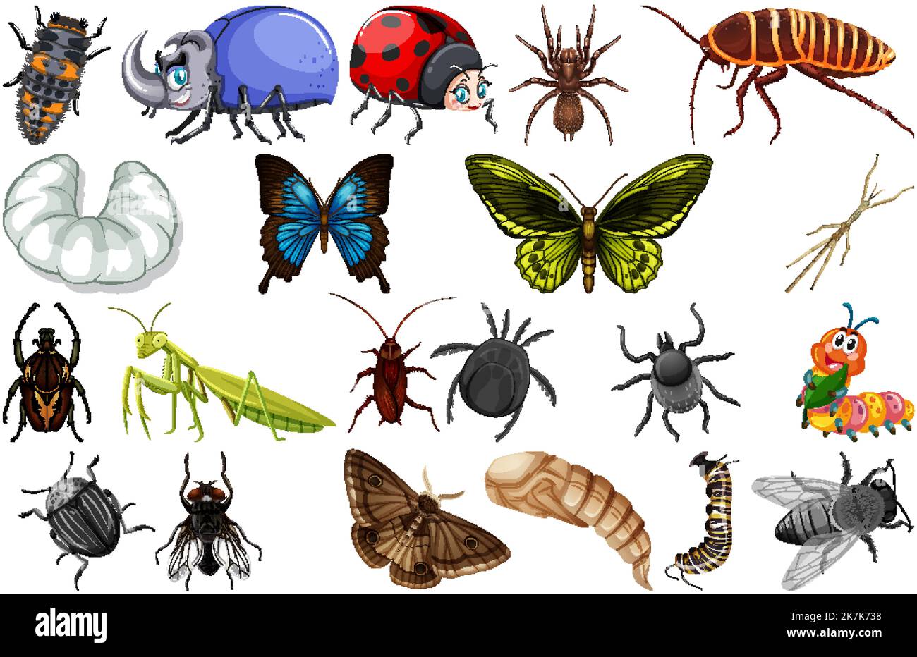All Insects Types Different kinds of insects collection illustration Stock Vector Image ...