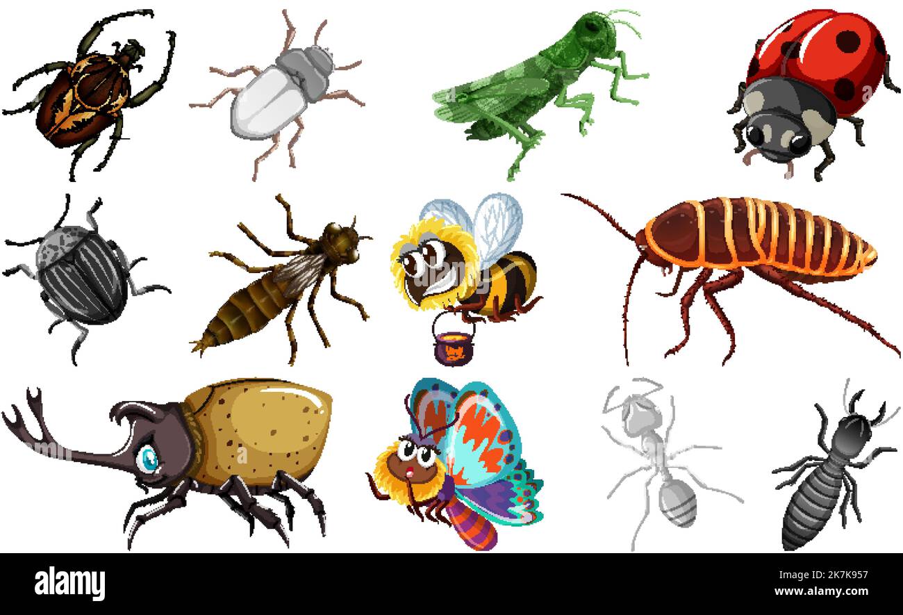 Different kinds of insects collection illustration Stock Vector Image ...