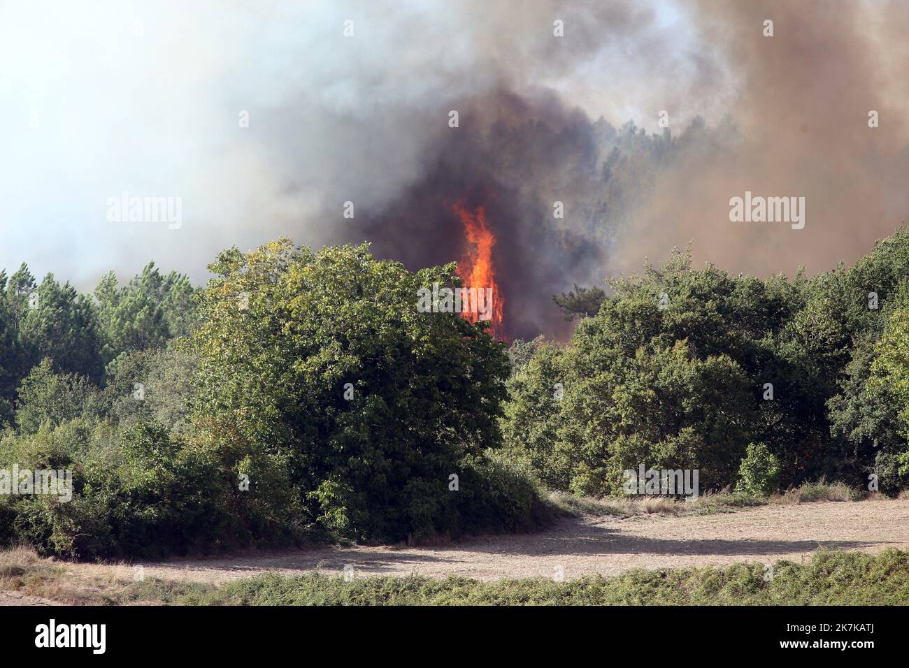 Nonac 371 15 hi-res stock photography and images - Alamy