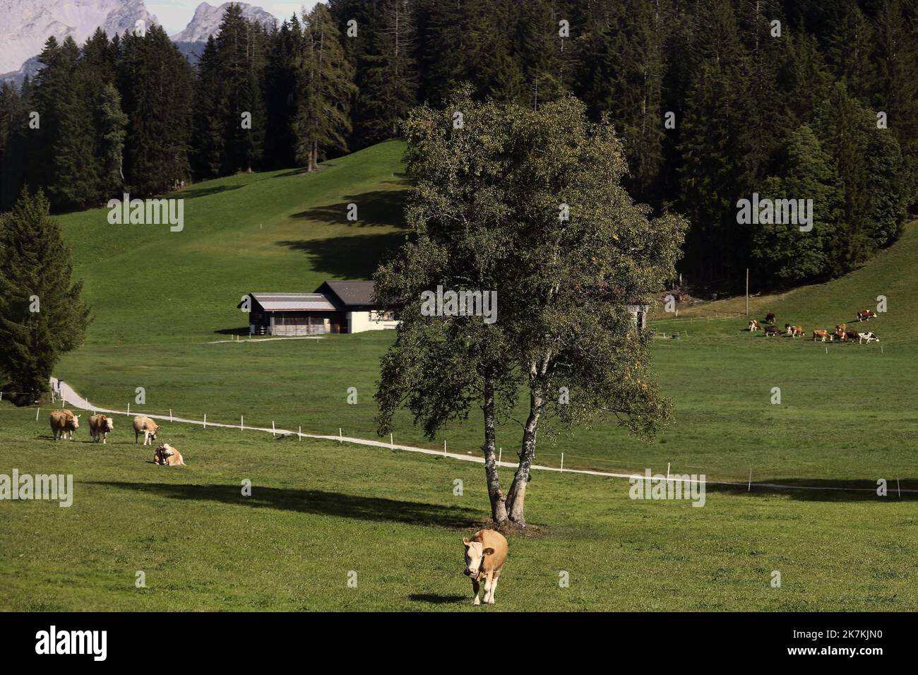 ©Francois Glories/MAXPPP - 05/10/2022 The famous ski resort 'Gstaad' in the Swiss Alps has classic facilities such as: primary school, sports centre, indoor swimming pool, gym for the many elite students, mini golf, tennis and swimming pool (indoor and outdoor), playground, banhof station, etc. Gstaad Switzerland. Stock Photo