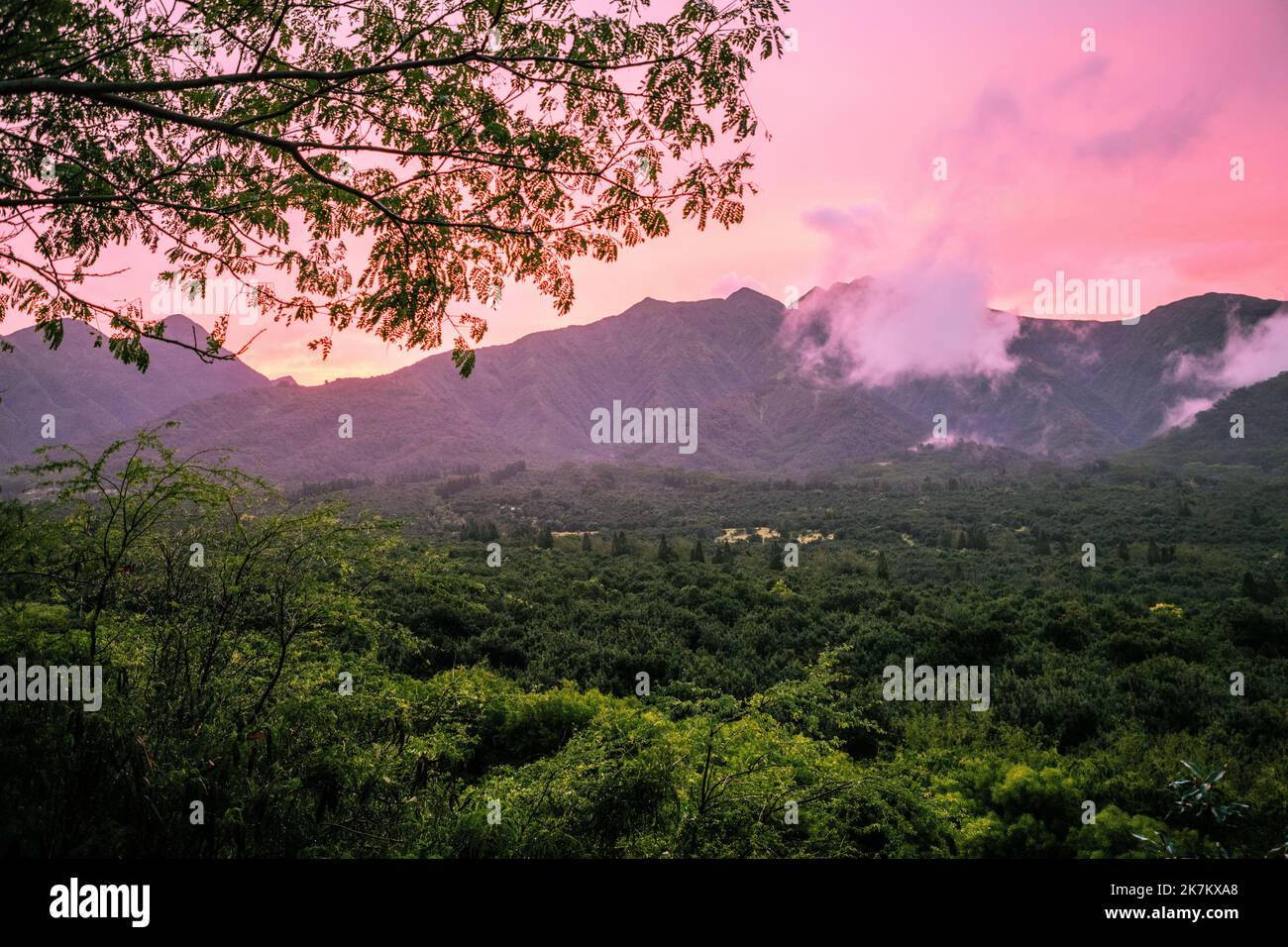 Maui house view Stock Photo Alamy