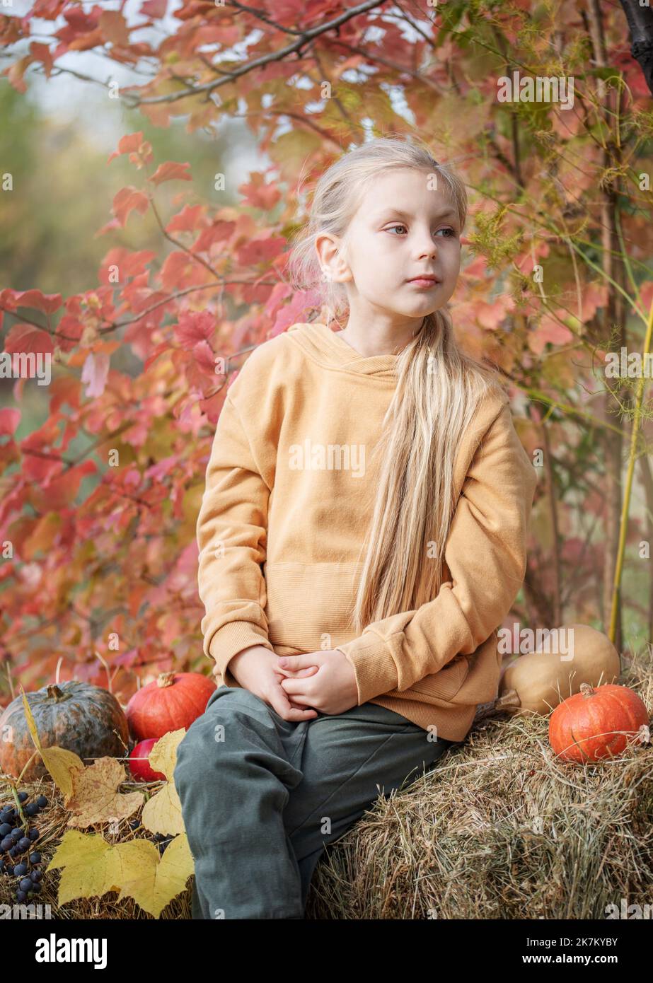 Little girls sitting among hay bales and pumpkins in the autumn garden ...