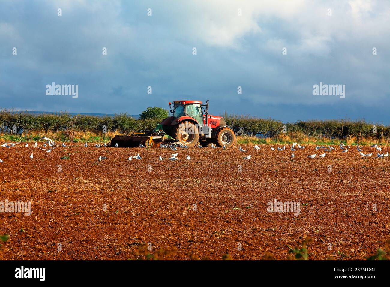 Precise manner hi-res stock photography and images - Alamy