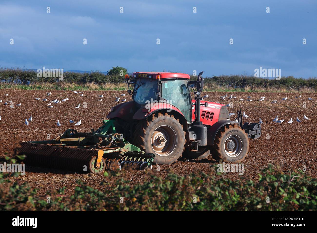 A Farmer preparing his field for the next crops to be planted later on and drives his tractor round the field in a very precise and careful manner. Stock Photo