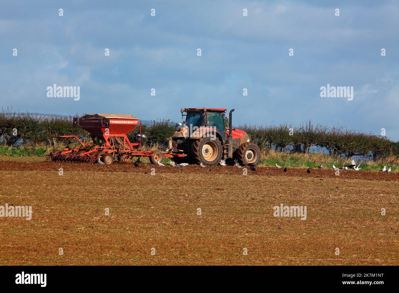 A local farmer out on his Tractor towing am automatic seeding machine for the next crop in this recently ploughed field. Stock Photo