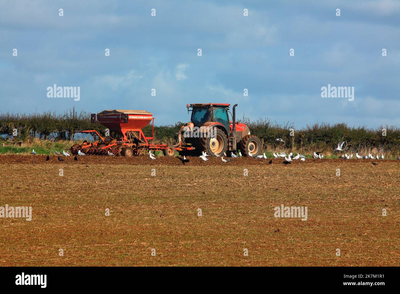 A local farmer out on his Tractor towing am automatic seeding machine for the next crop in this recently ploughed field. Stock Photo