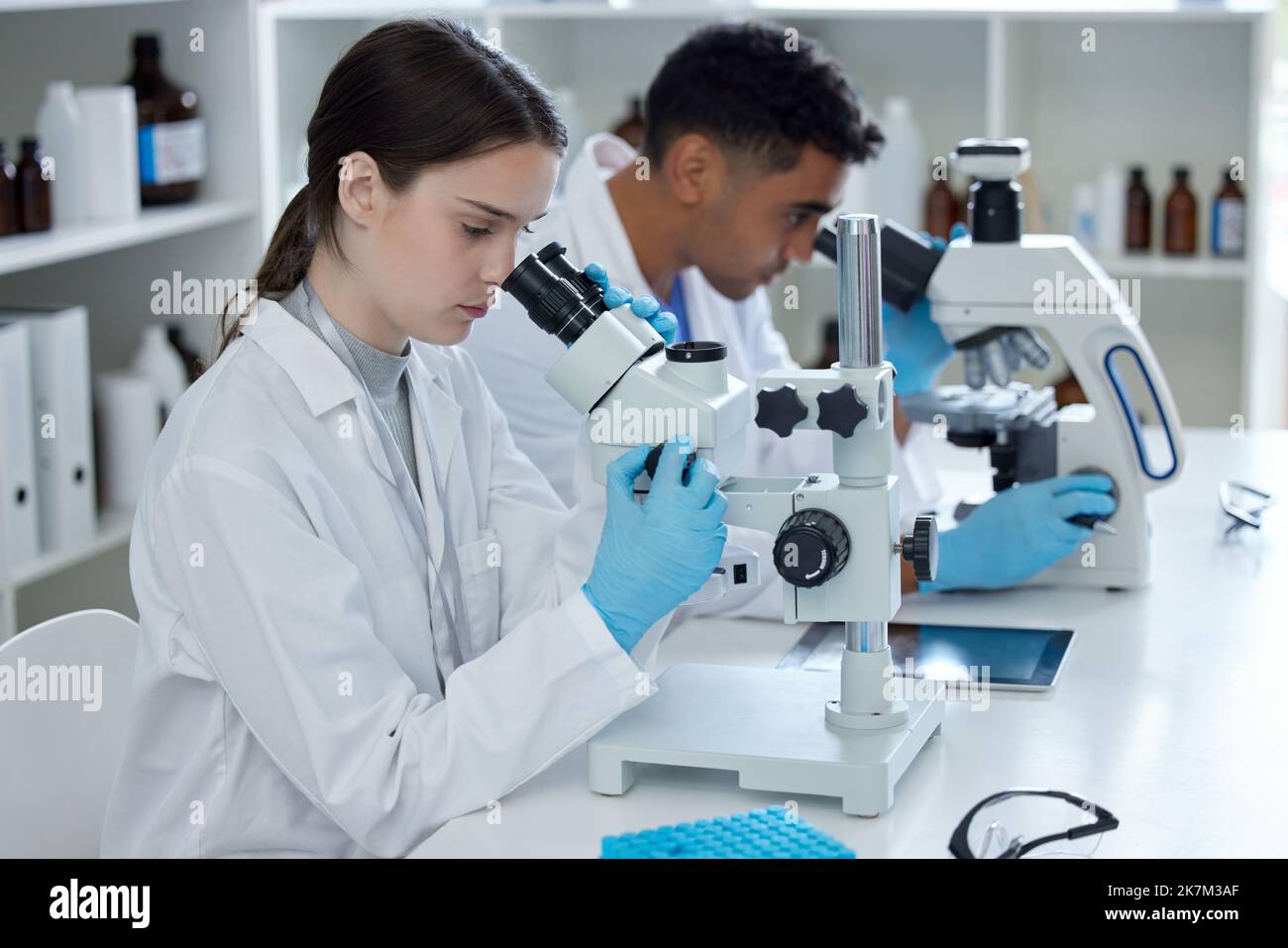 Its a day of research. two scientists using microscopes in a lab Stock ...