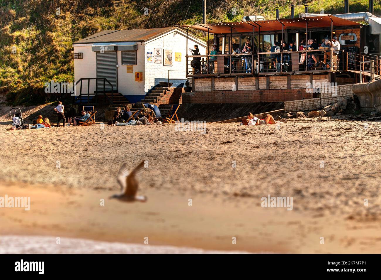 Riley's Fish Shack, King Edwards Bay, Tynemouth, North East England