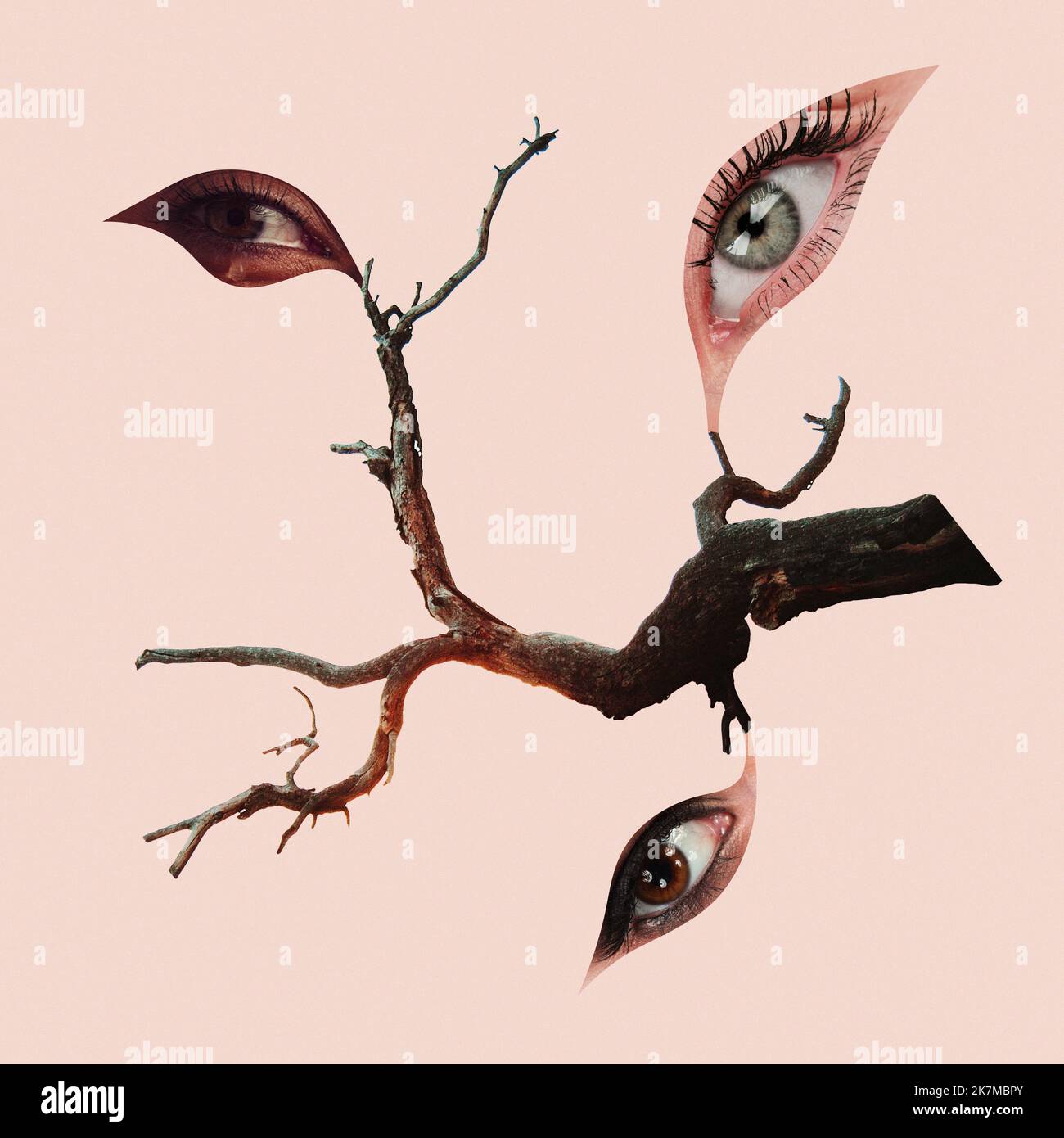 Dried branch of a tree with leaves-eyes. Contemporary art collage ...