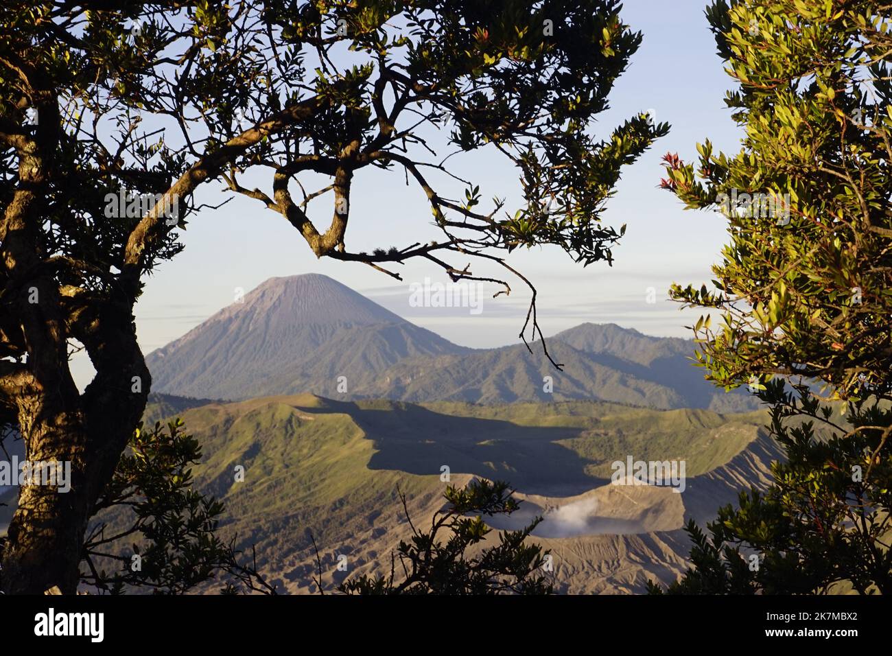 View of Mount Semeru and Mount Bromo in the morning Stock Photo