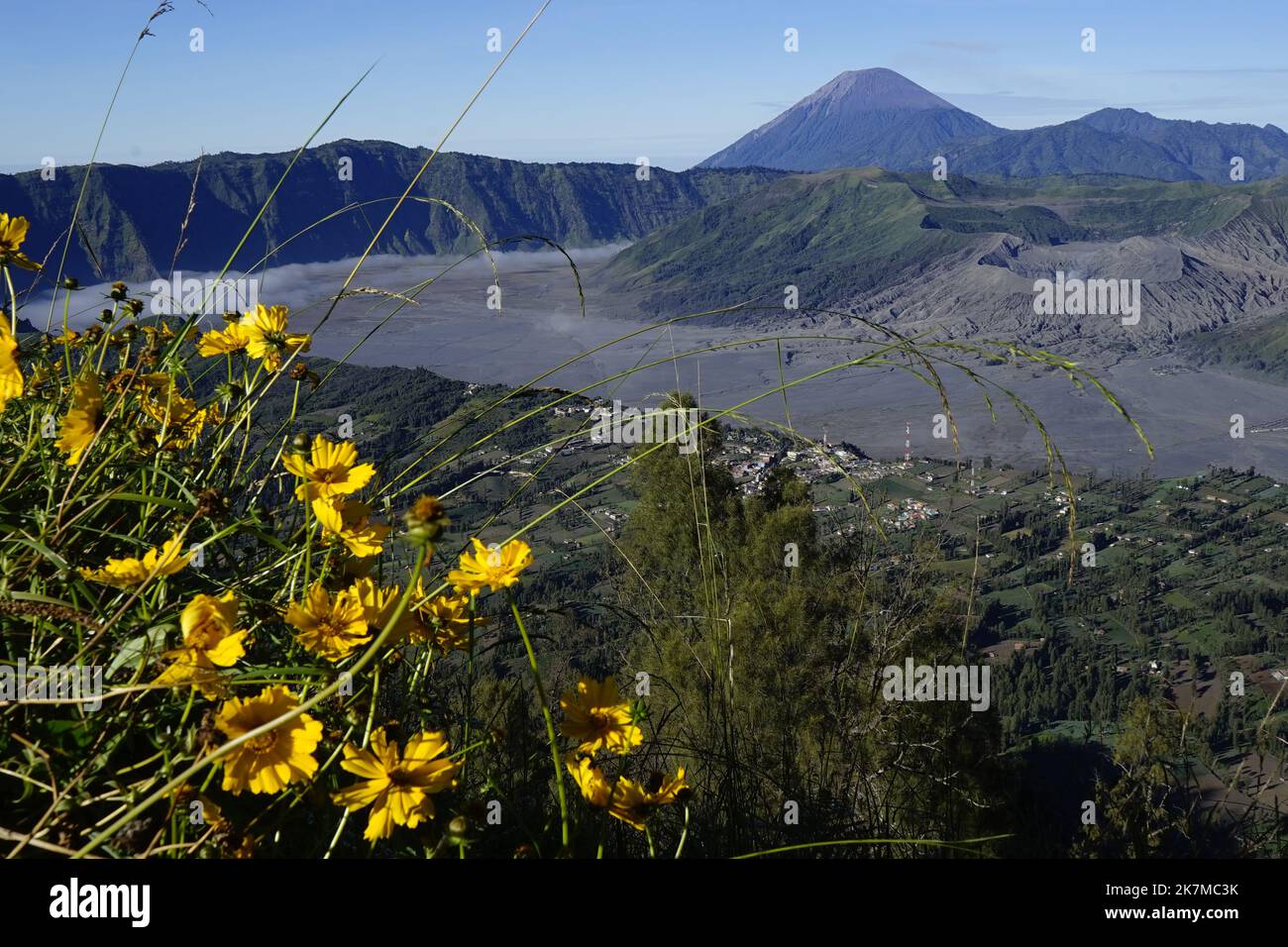 View of Mount Semeru and Mount Bromo in the morning Stock Photo