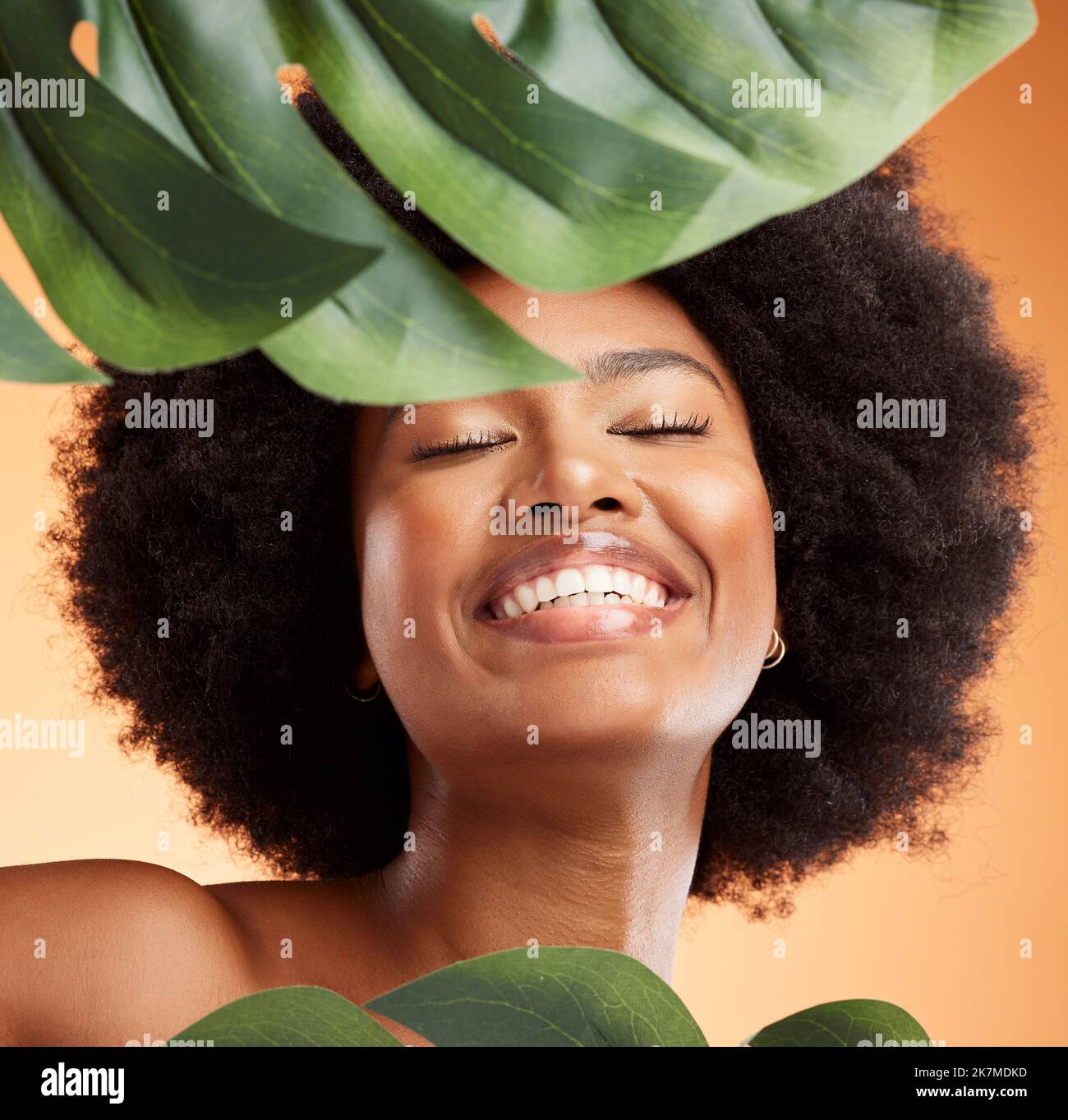 Aloe vera plant, skincare and black woman for beauty glow, face health