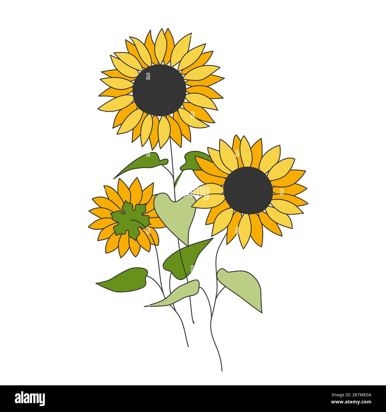 Thin line flowers leaves Stock Vector Images - Alamy