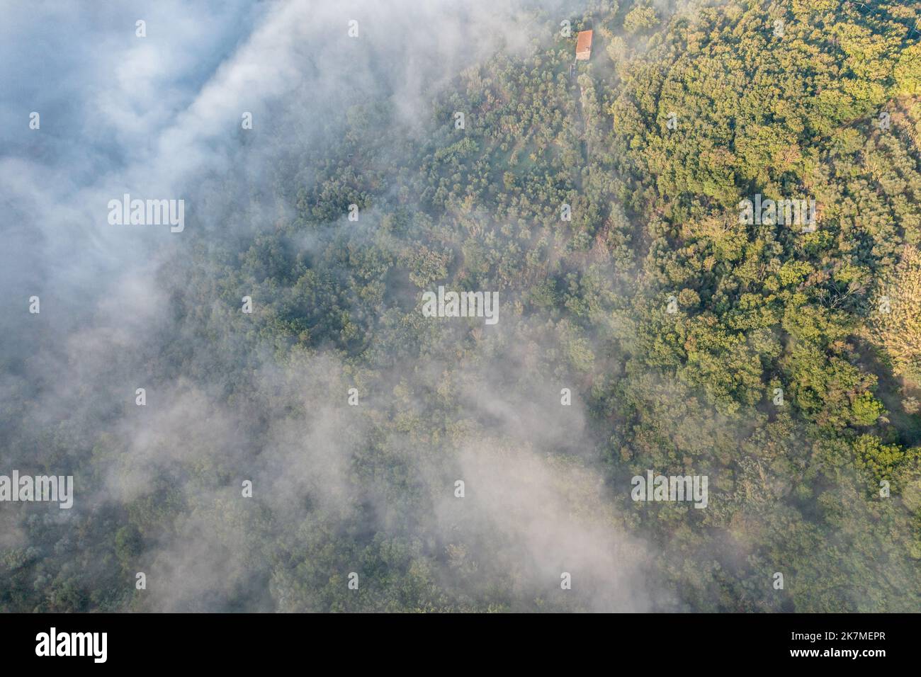 Tuscany from above. Wine and Olive field with fog around. Drone Shot Stock Photo
