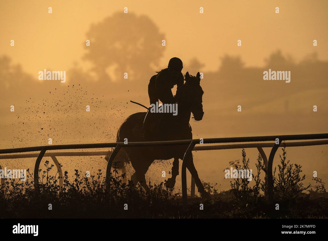 A horse on the gallops at Sam Drinkwater's Granary Stables, Strensham