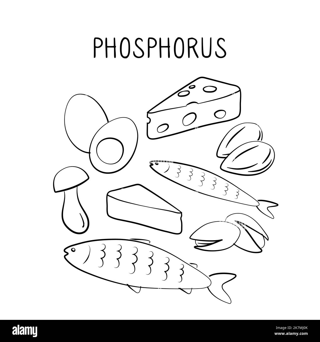 Phosphorus-containing food. Groups of healthy products containing vitamins and minerals. Set of fruits, vegetables, meats, fish and dairy. Stock Vector