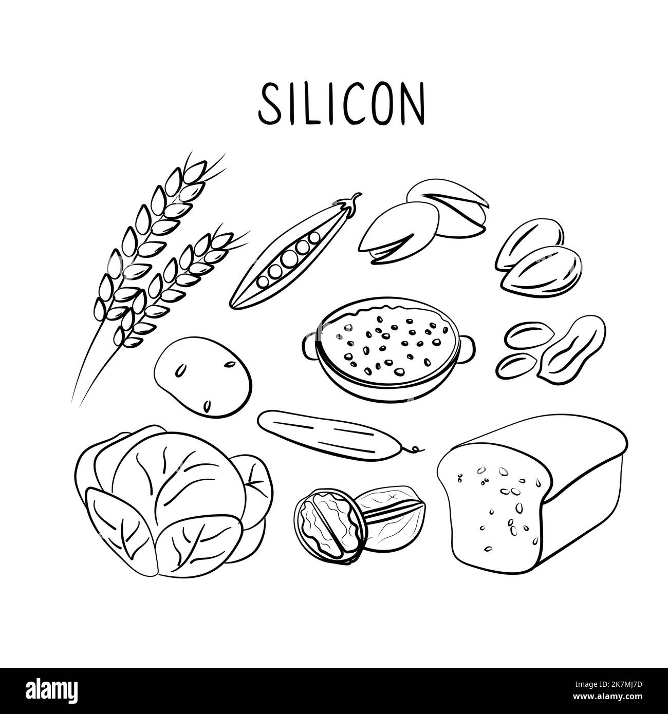 Siliconcontaining food. Groups of healthy products containing vitamins