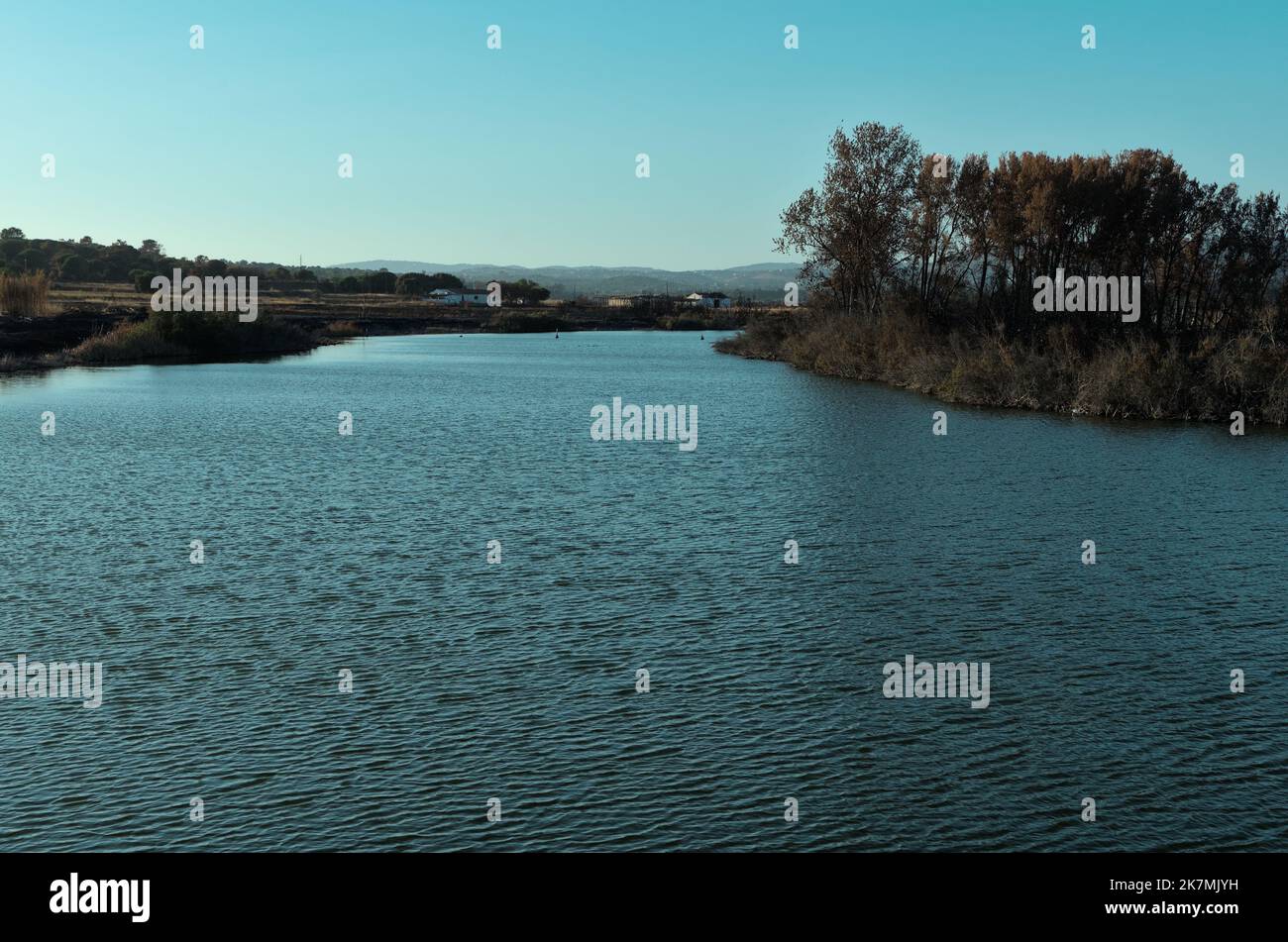 Aftermath of the wildfire of July 2022 in Ludo, Ria Formosa Natural