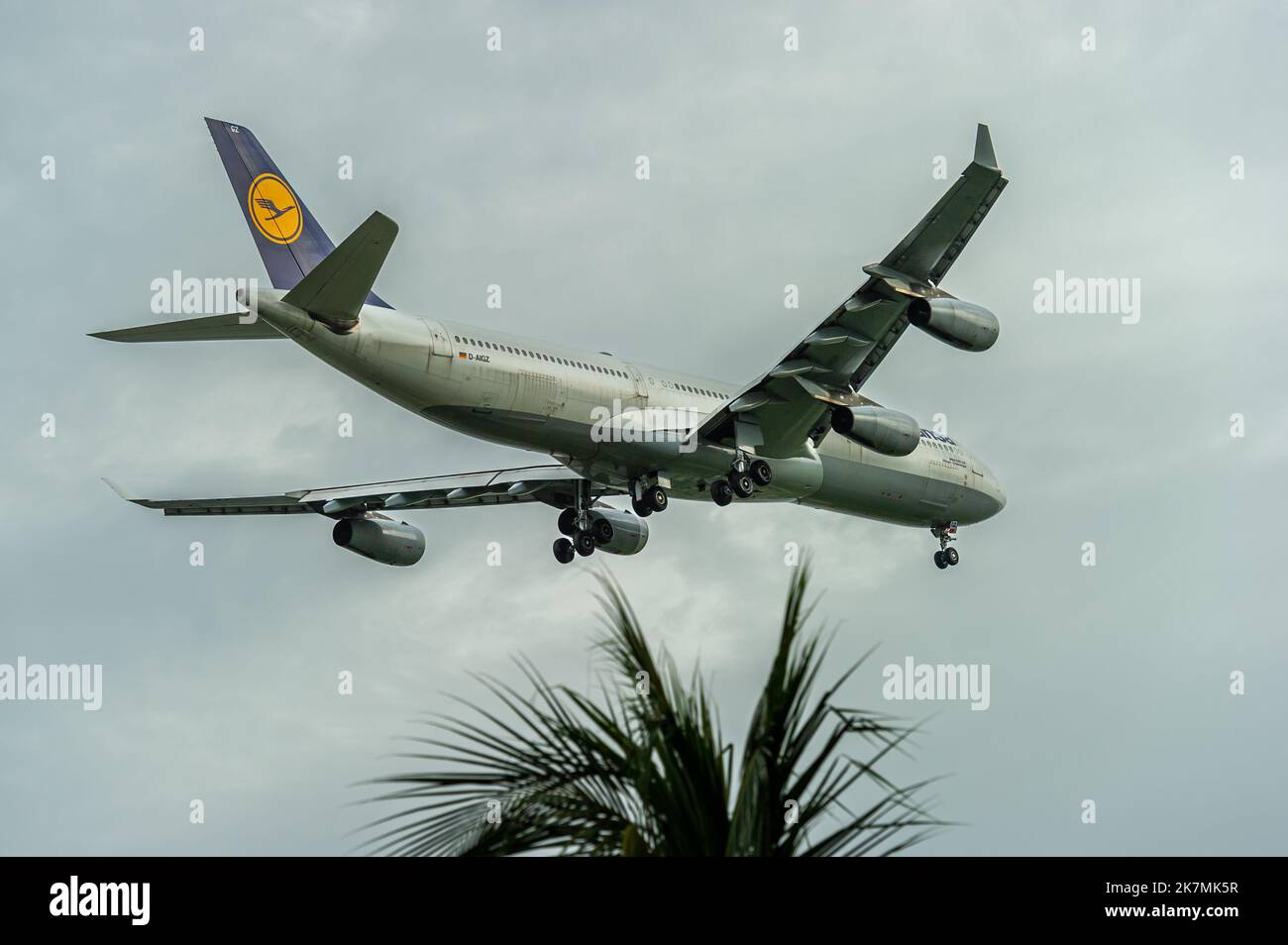 Lufthansa Airbus A340-313X on final approach into Singapore Changi airport Stock Photo