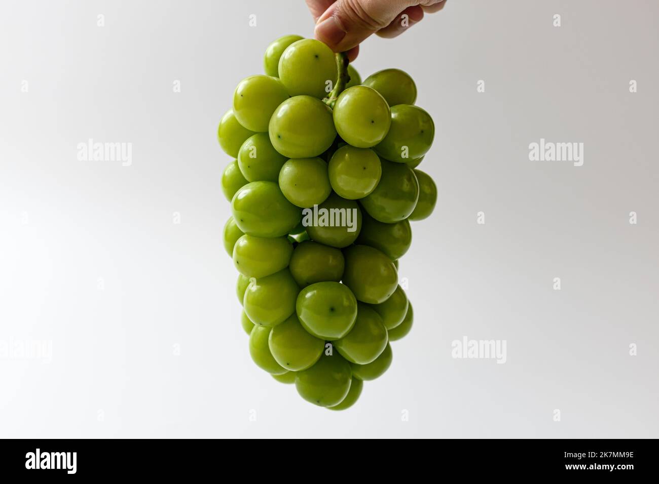 Fresh Organic Shine Muscat Green Grapes Stock Photo 2047546298