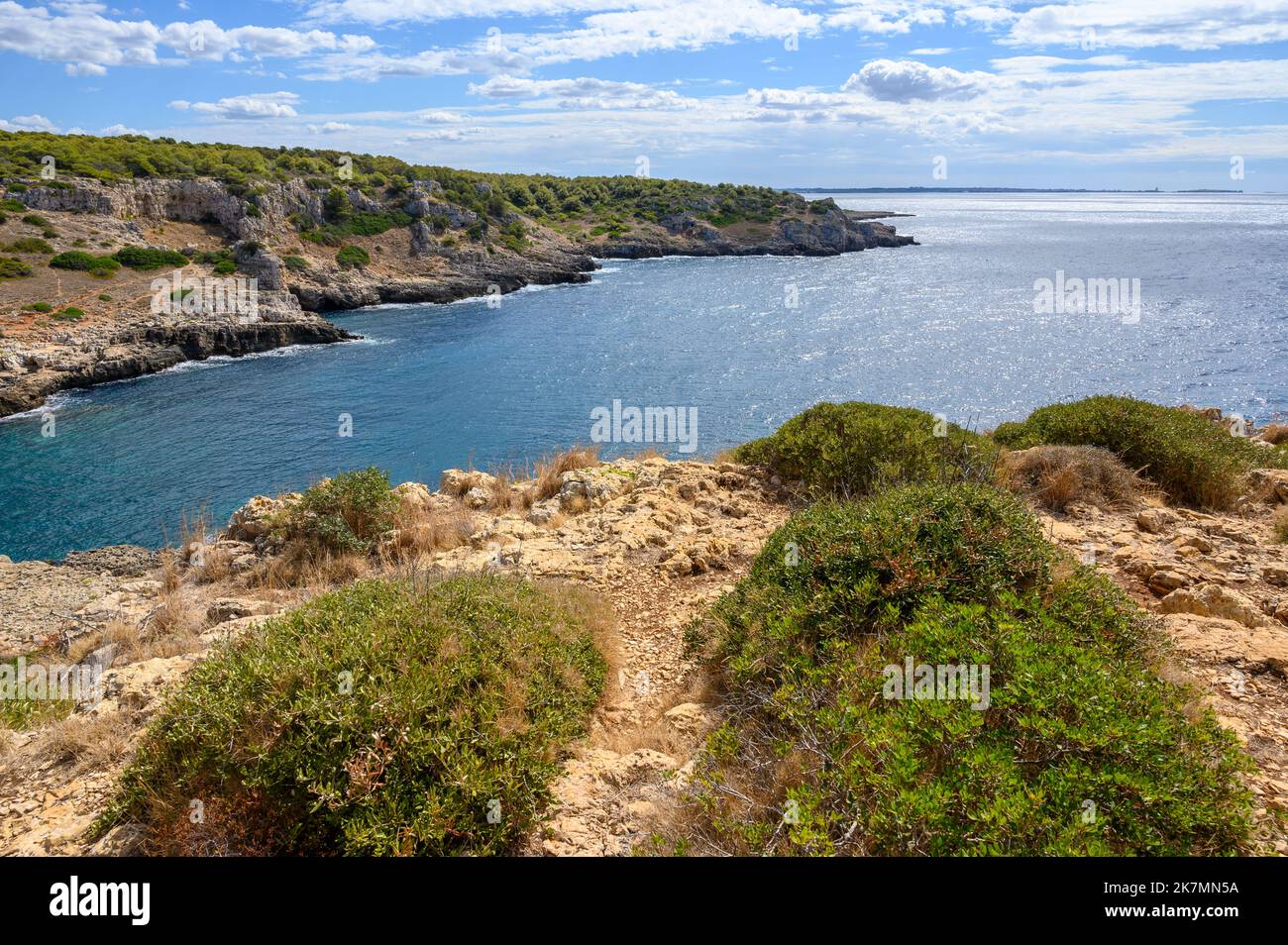 View to the Regional Natural Park of Porto Selvaggio with its rugged coastline and pine woods, Apulia (Puglia), Italy. Stock Photo