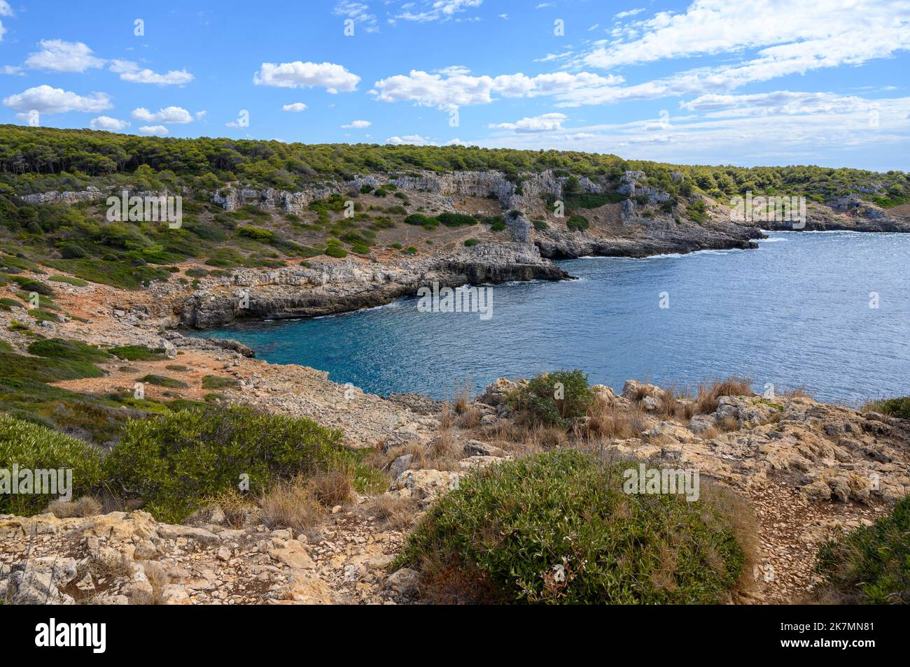 View to the Regional Natural Park of Porto Selvaggio with its rugged coastline and pine woods, Apulia (Puglia), Italy. Stock Photo