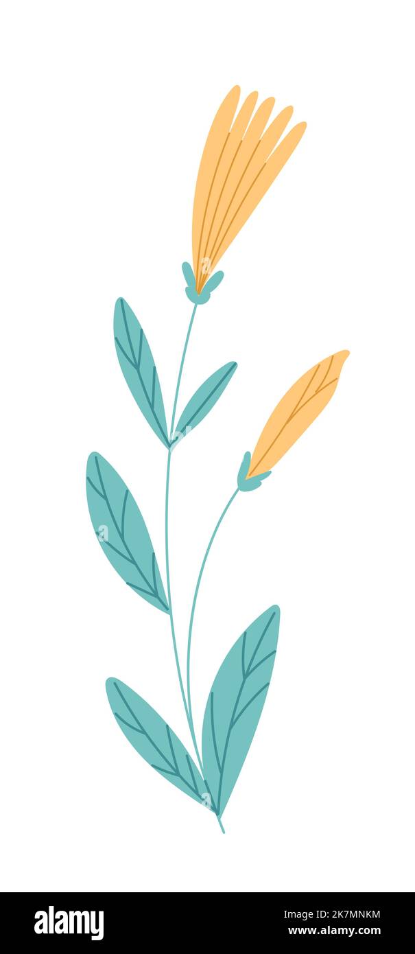 Flower with blooming bud vector Stock Vector Image & Art - Alamy