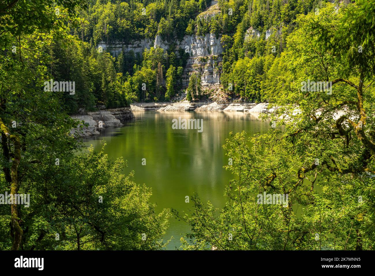 Fabelhafte Fluss Der Schweiz Und Frankreich Bildnull