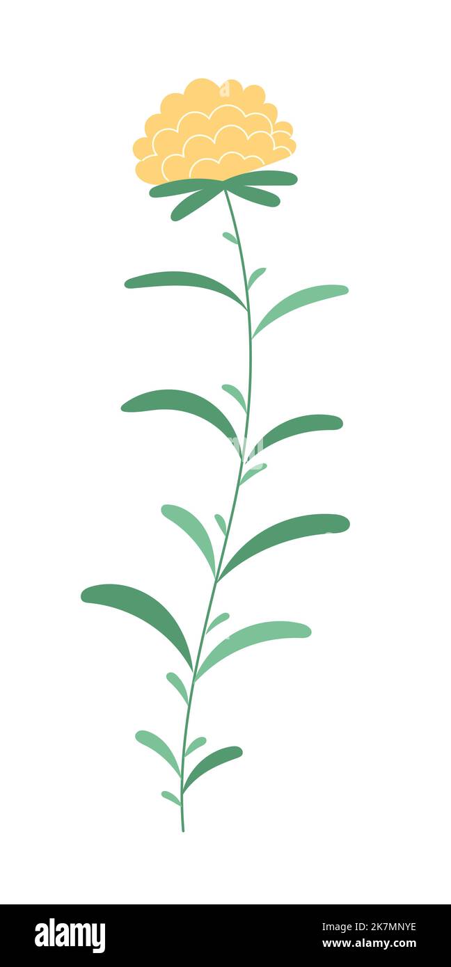 Flower with blooming bud vector Stock Vector Image & Art - Alamy
