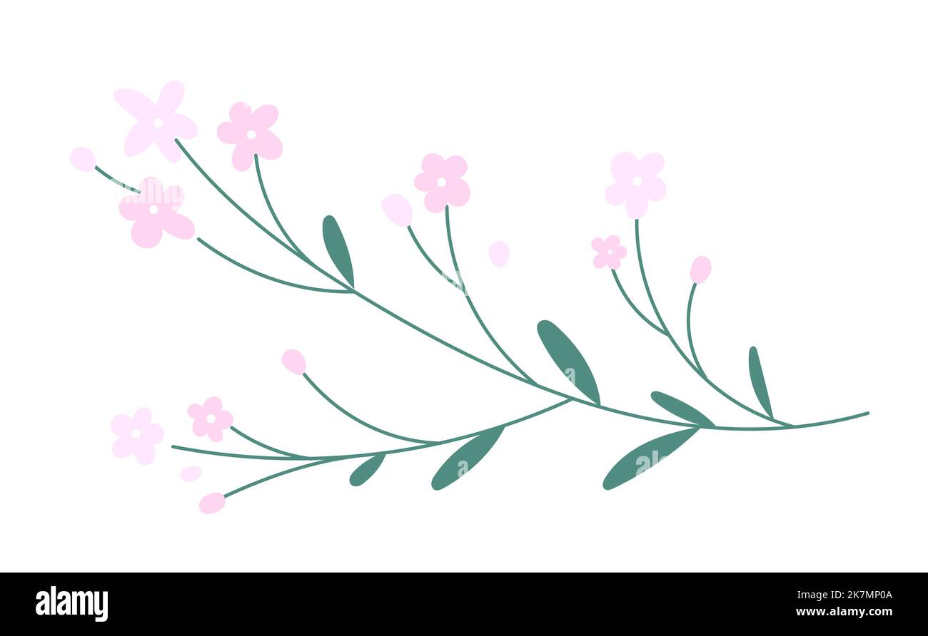 Flower with blooming bud vector Stock Vector Image & Art - Alamy
