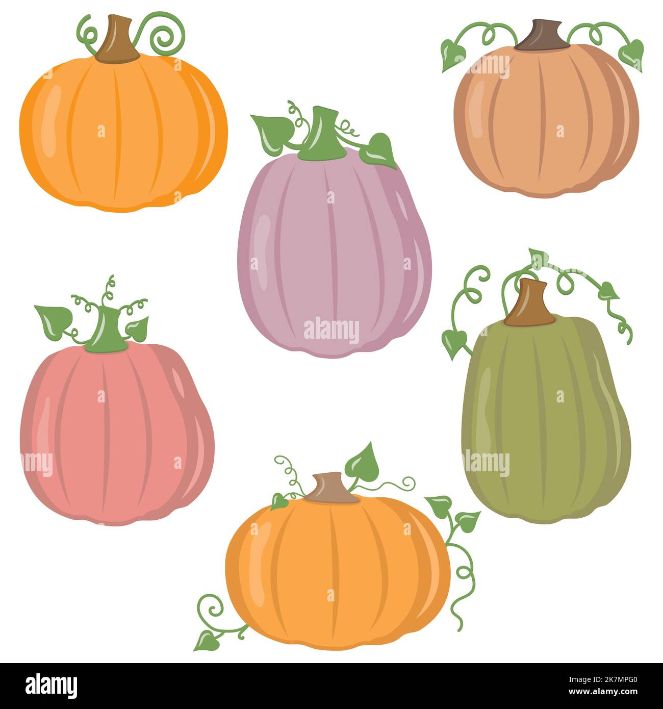 Vector set of orange pumpkins isolated on a white background Stock ...