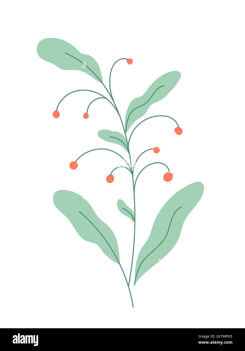 Flower with blooming bud vector Stock Vector Image & Art - Alamy