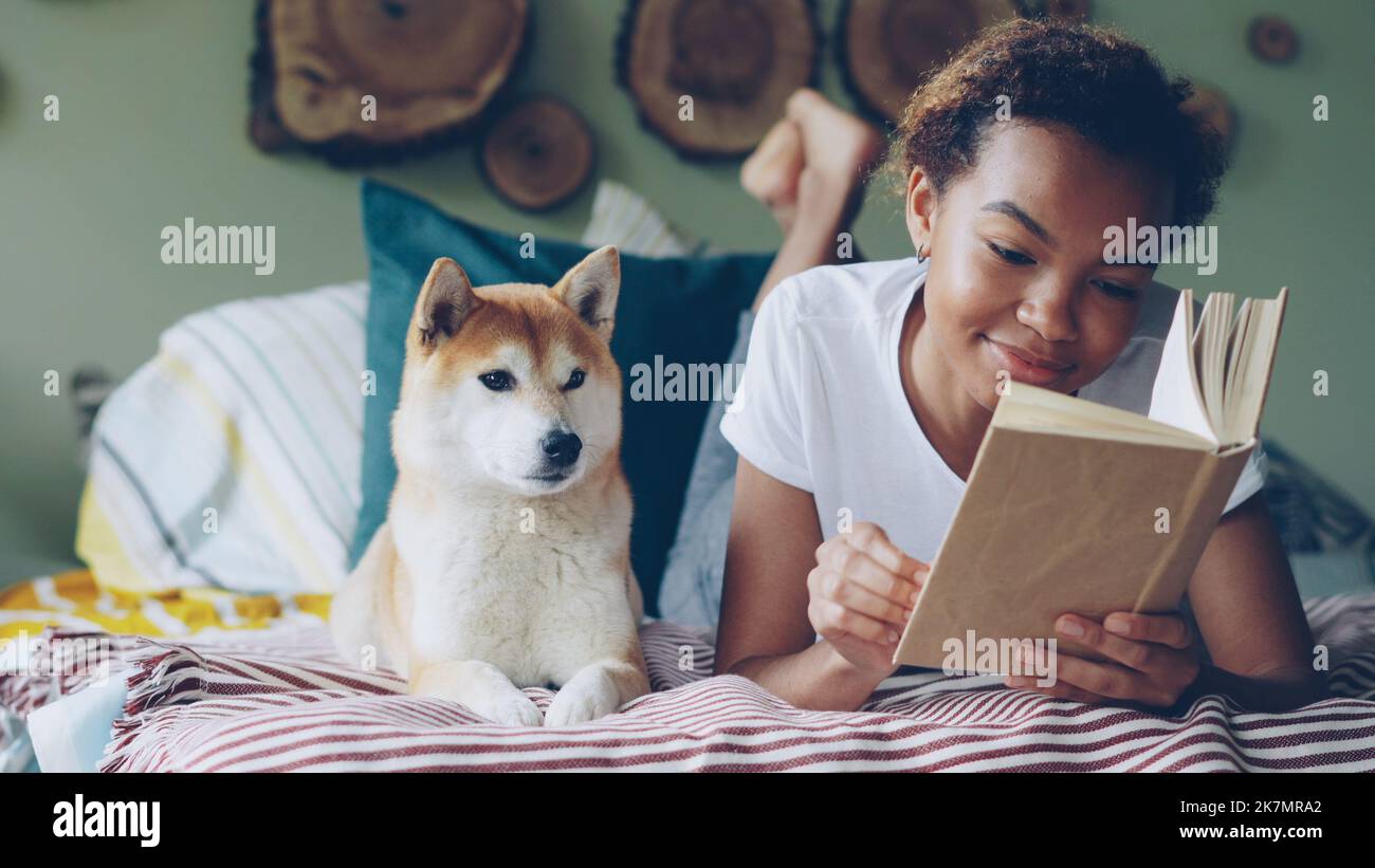Young African American woman is reading interesting book and caressing her pet dog resting on bed in beautiful modern apartment. Animal is enjoying its owner's love and care. Stock Photo