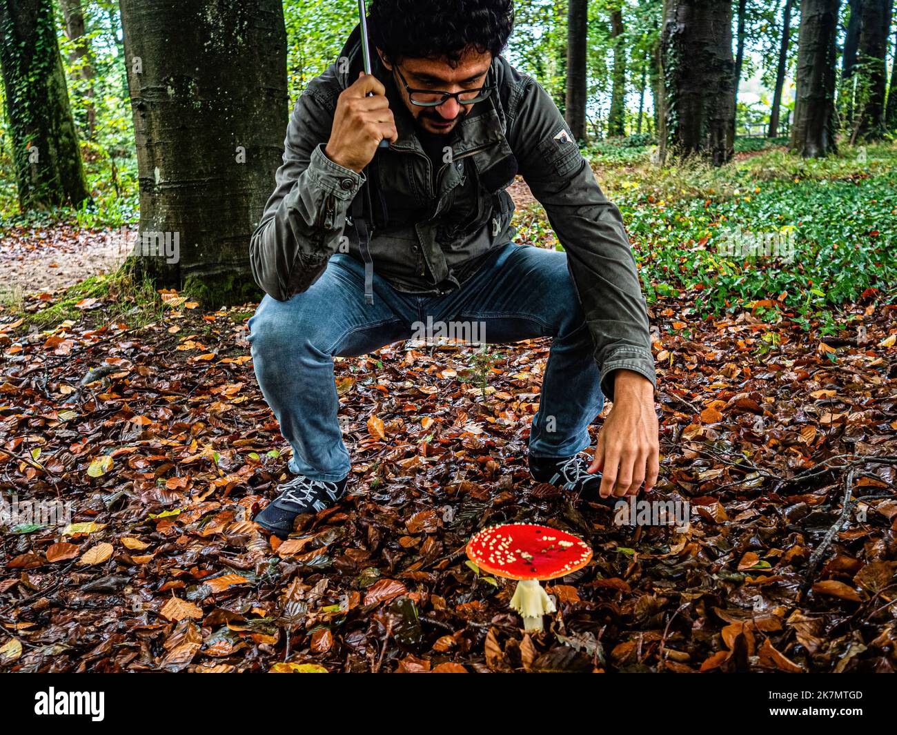 Nijmegen, Netherlands. 15th Oct, 2022. A man is seen taking a look at a huge 'Fly agaric' growing on the ground. During the autumn season, the landscape in The Netherlands is flooded with green, ochre, golden and reddish colors surrounded by different species of mushrooms. There are around 5,250 species of mushrooms in the Netherlands. It's the perfect season to take pictures of nature and enjoy the marvelous sights. Many of these are under serious threat and some 200 species have become extinct in the Netherlands over recent decades. Credit: SOPA Images Limited/Alamy Live News Stock Photo