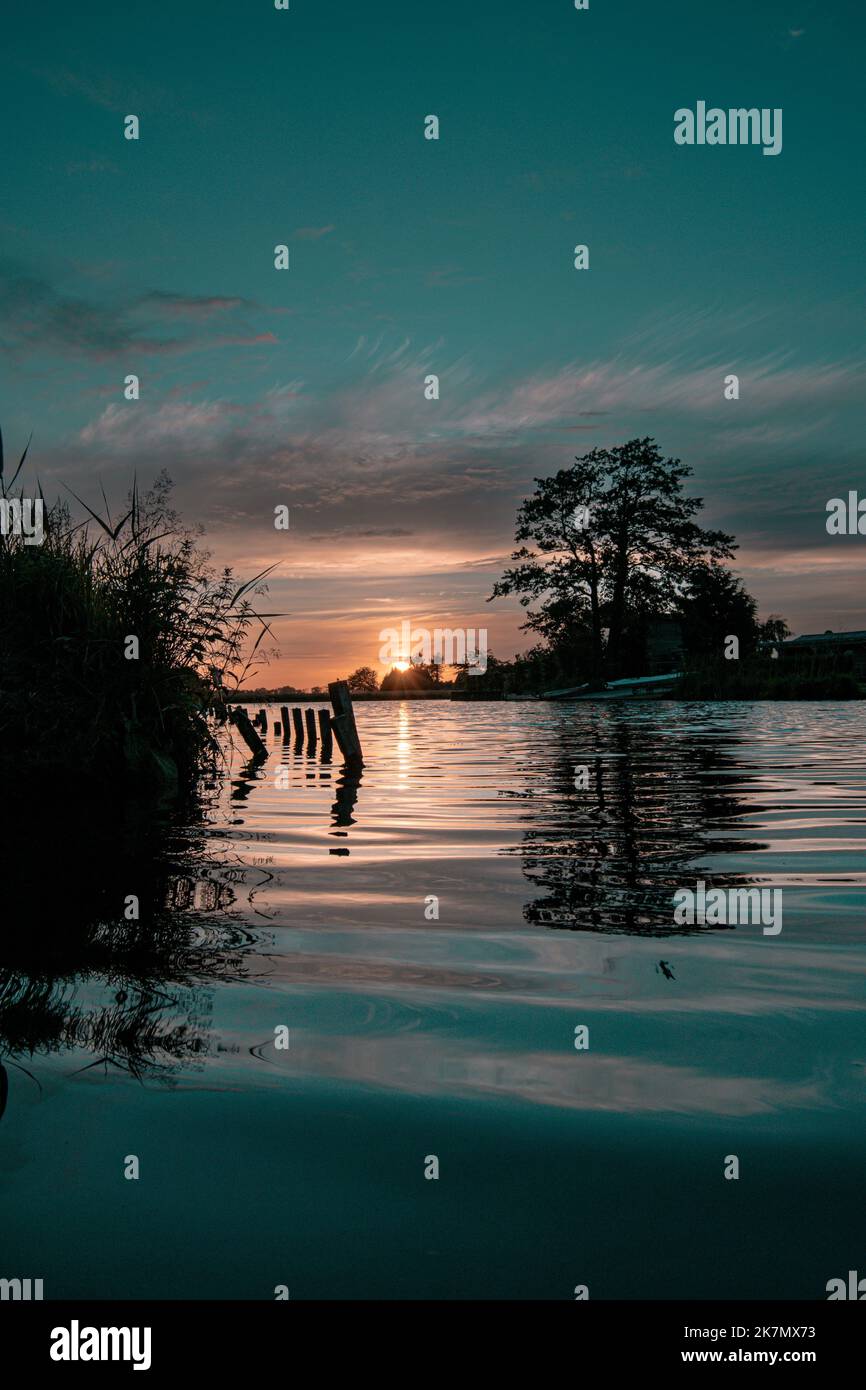 A vertical shot of the lake with trees reflected on the water surface ...