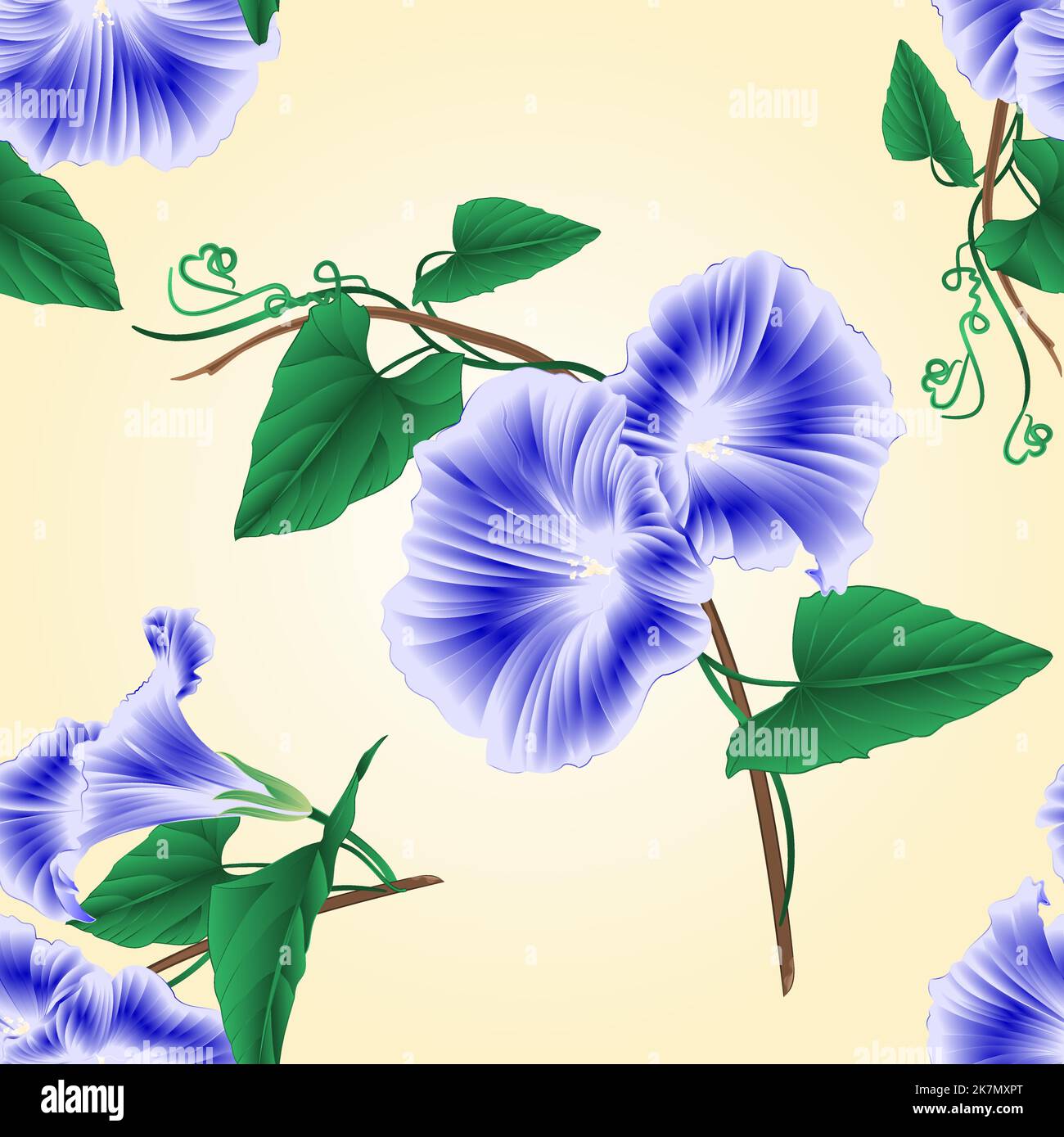 Seamless texture Morning glory  blue spring flower vintage vector illustration Stock Vector