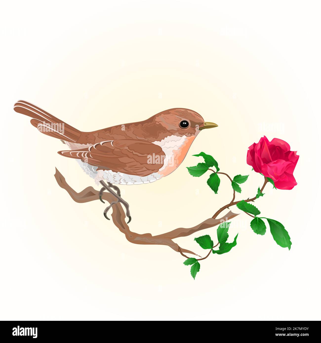 Small bird on the twig rose vintage vector illustration Stock Vector
