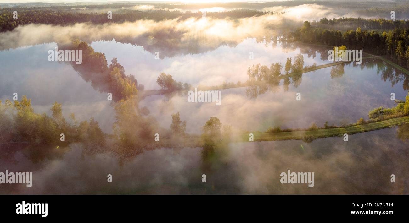 An aerial view of a clear lake with trees covered by fog in the early ...
