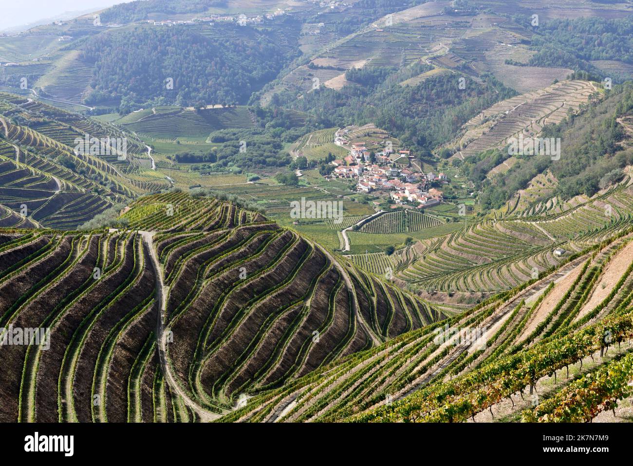 Vineyards of the Douro Valley, Northern Portugal Stock Photo