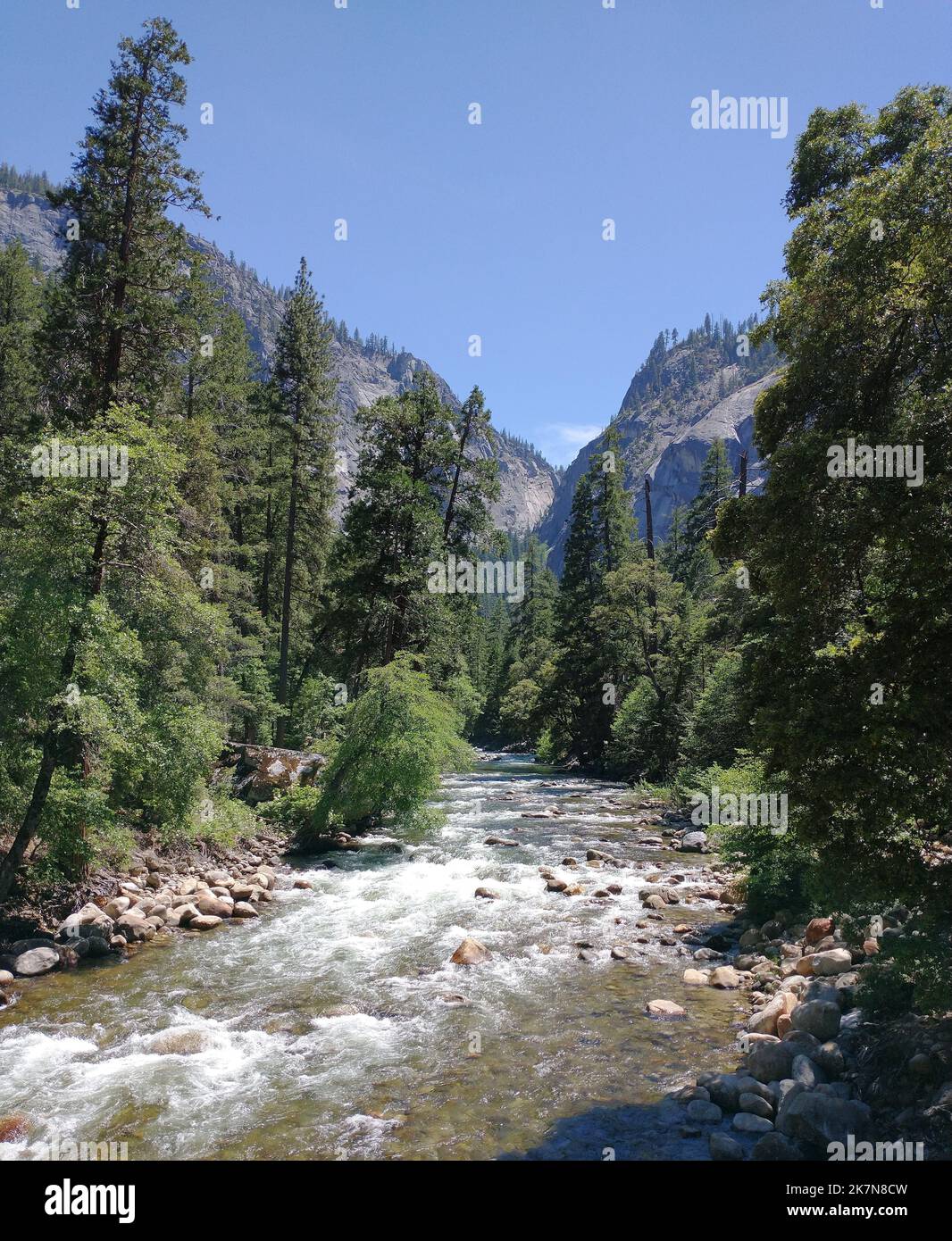 An alpine river flowing through forest Stock Photo - Alamy