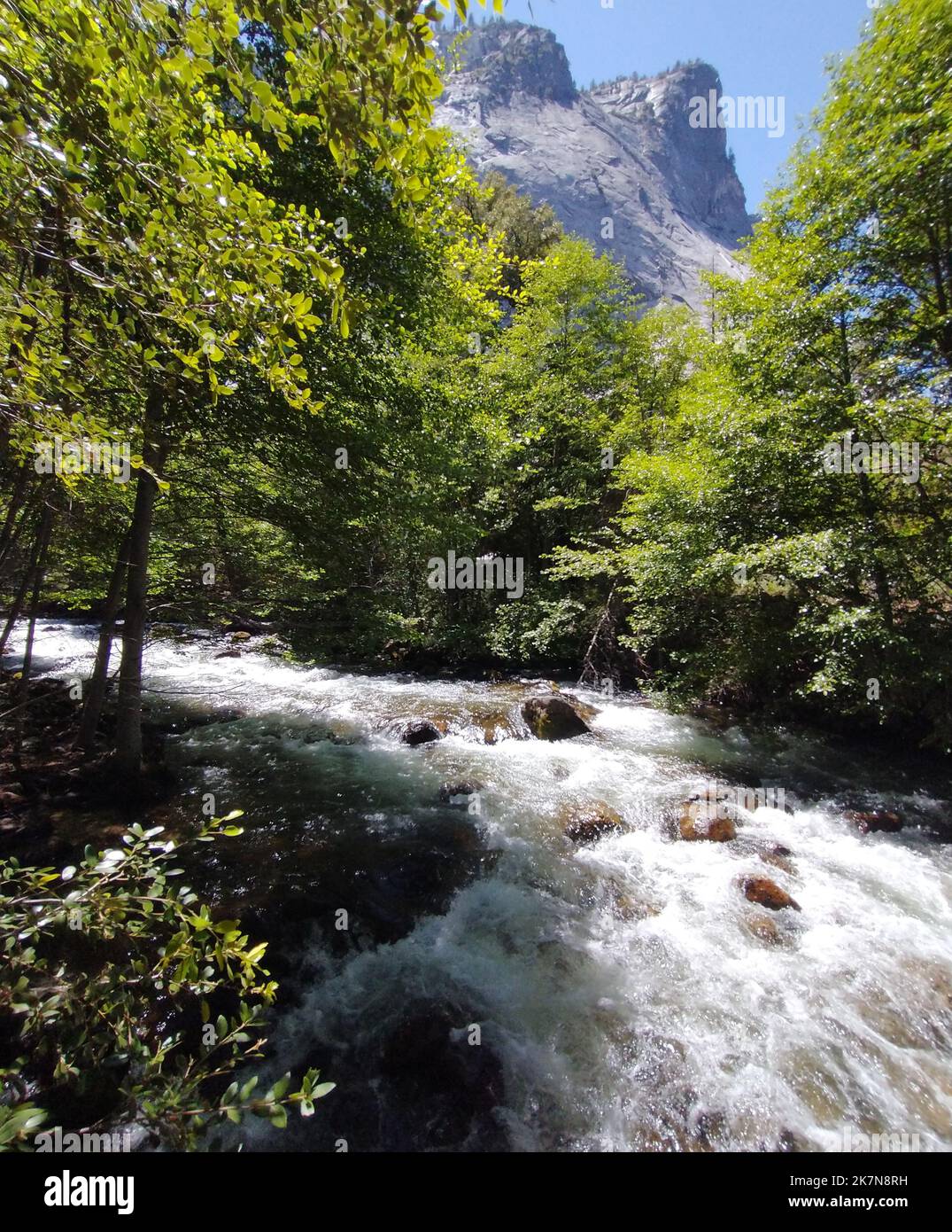 An alpine river flowing through forest Stock Photo - Alamy