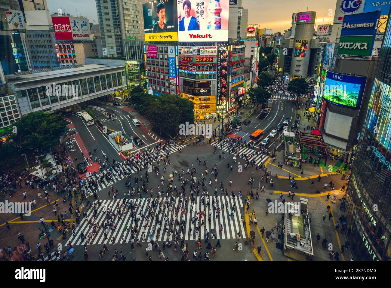 June 12, 2019: Shibuya Crossing, a world famous and iconic, also the busiest intersection in front of the Shibuya Station, Tokyo, japan. Hundreds of p Stock Photo