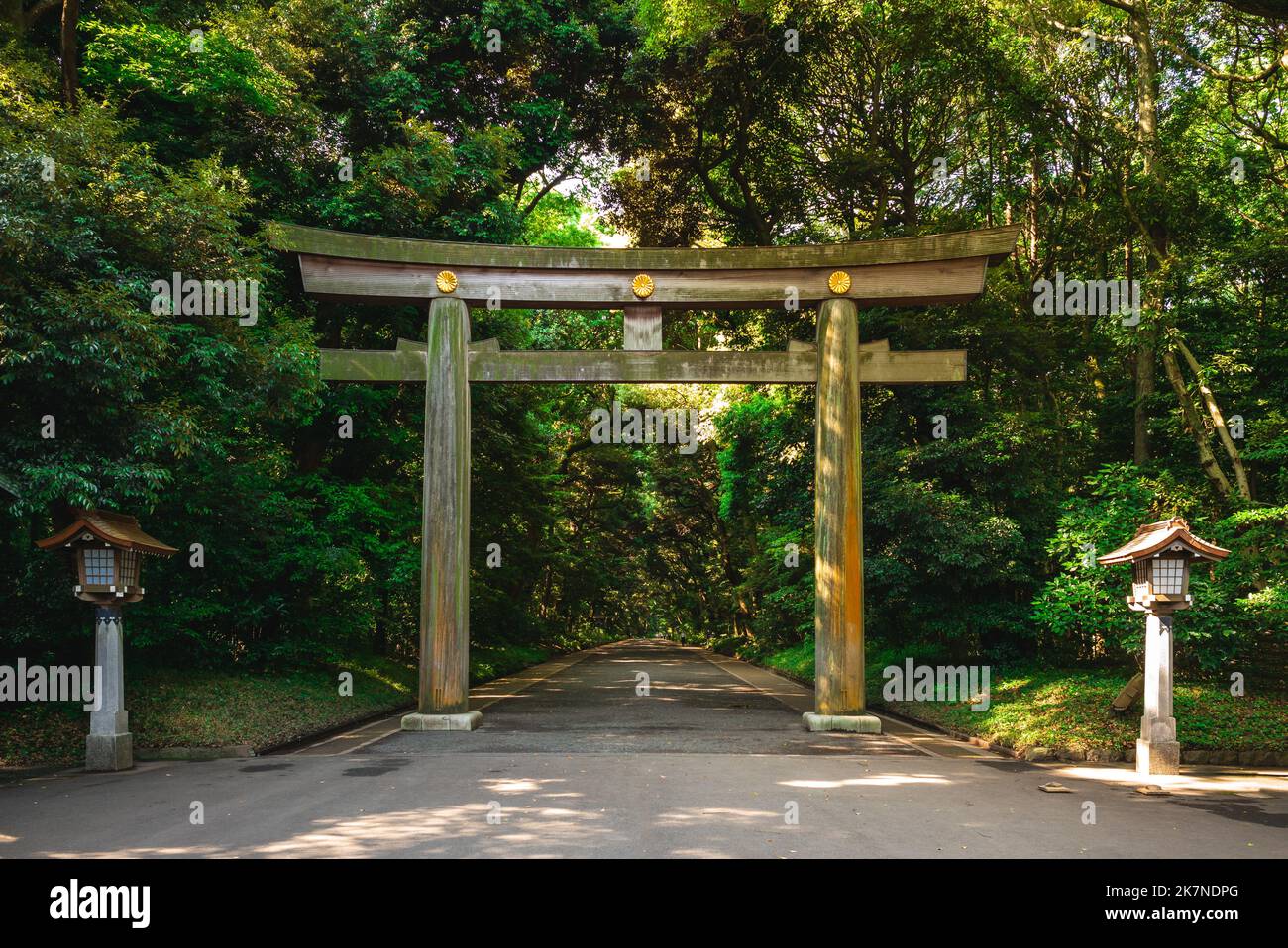 Torii leading to the Meiji Shrine in tokyo, japan Stock Photo